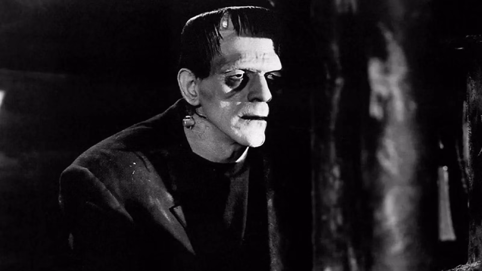 two-frankensteins-walk-into-2026-one-scary-one-stitchy-image-0